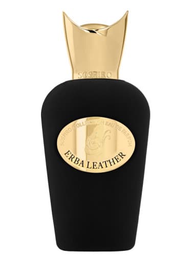 عطر سوسبيرو ايربا ليذر اودى بيرفيوم 100 مل 