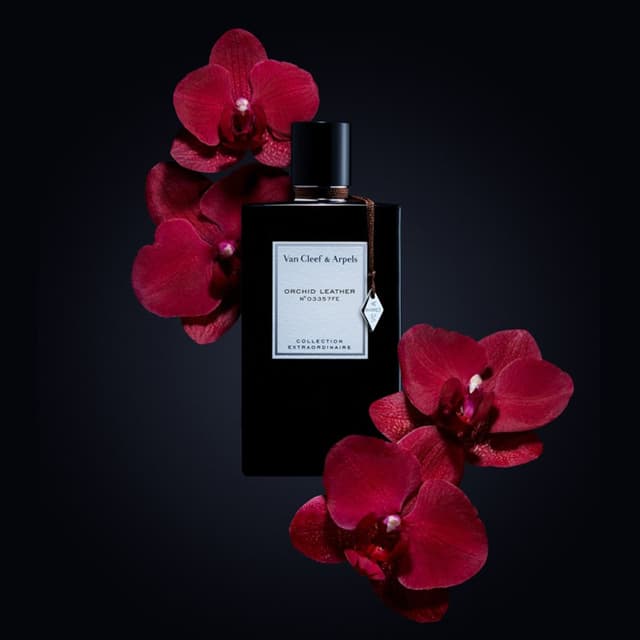 عطر فان كليف اوركيد ليذر اودى بيرفيوم 75 مل